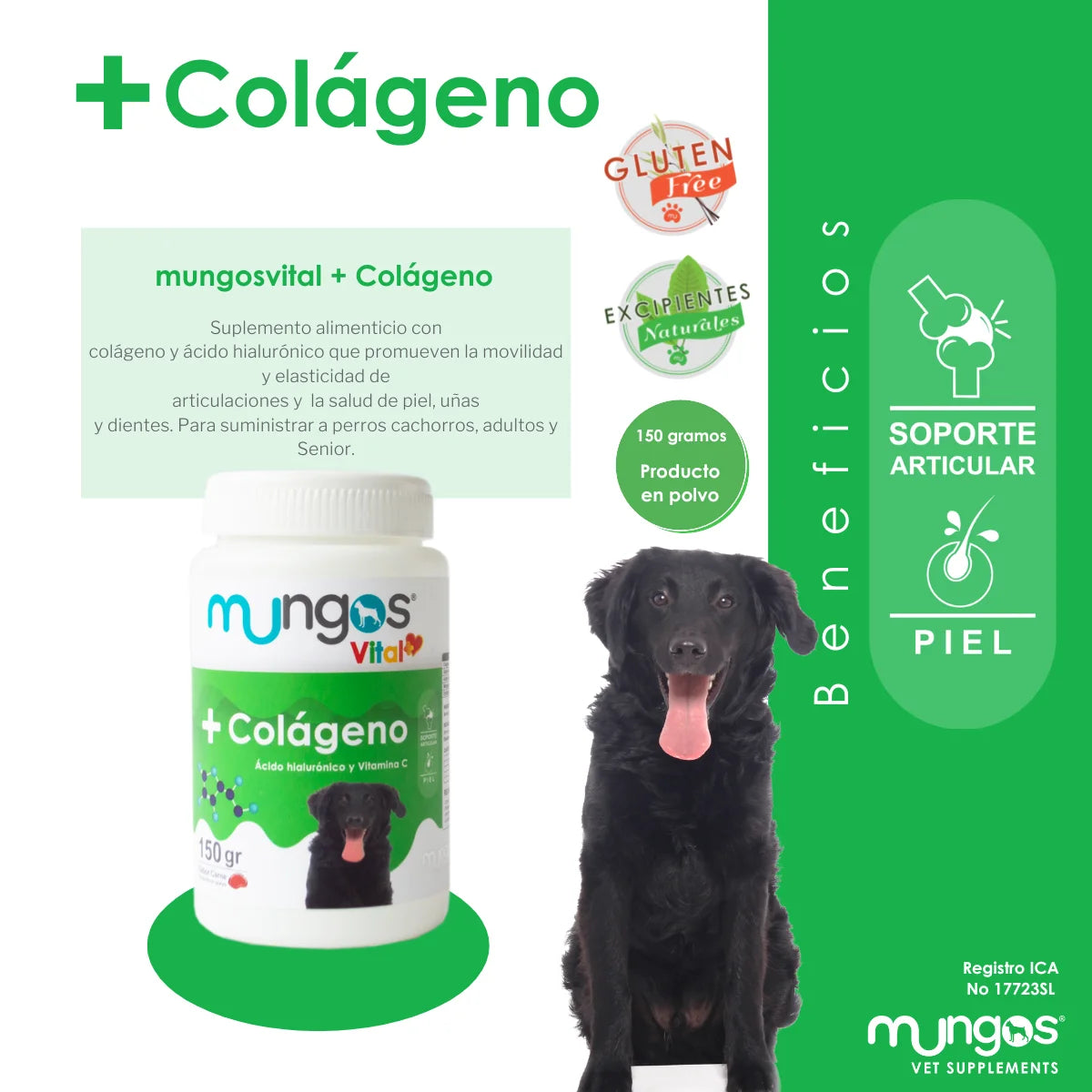 Colágeno y ácido hialurónico para perros – Mungos vital Colágeno 150 gramos