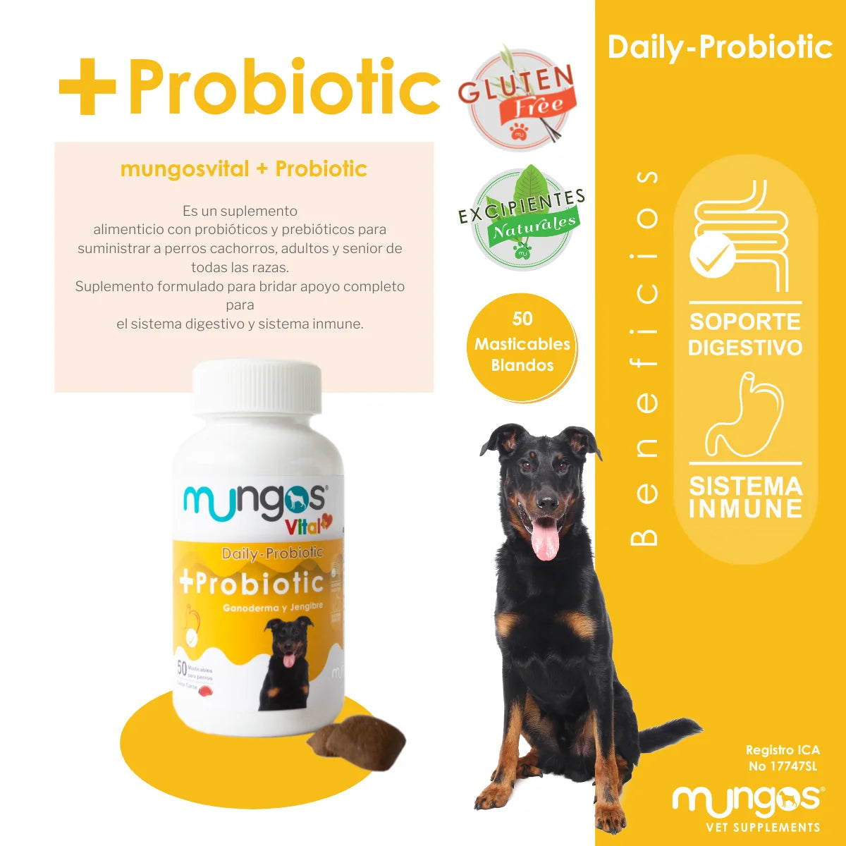 Probióticos para perros – Salud intestinal – Mungos vital Probiotic x 50 unidades blandas
