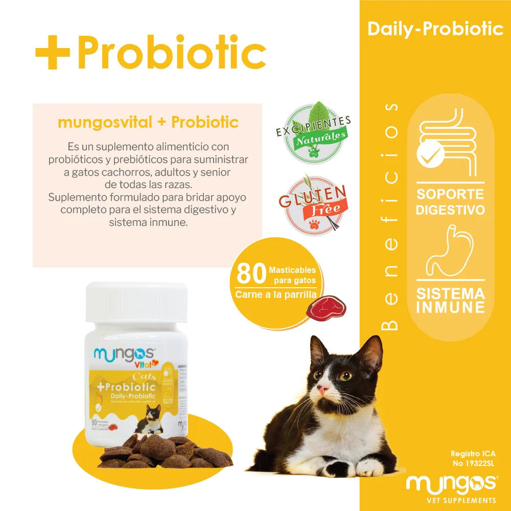 Probióticos para Gatos – Salud intestinal – Mungos vital Probiotic x 80 unidades blandas