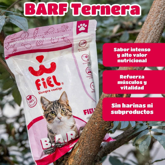 Dieta Barf Gato | Ternera 200g