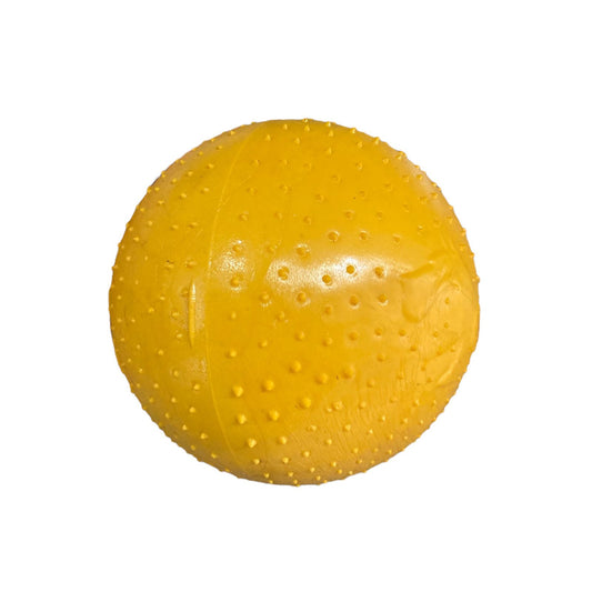 Pelota Caucho Gigante