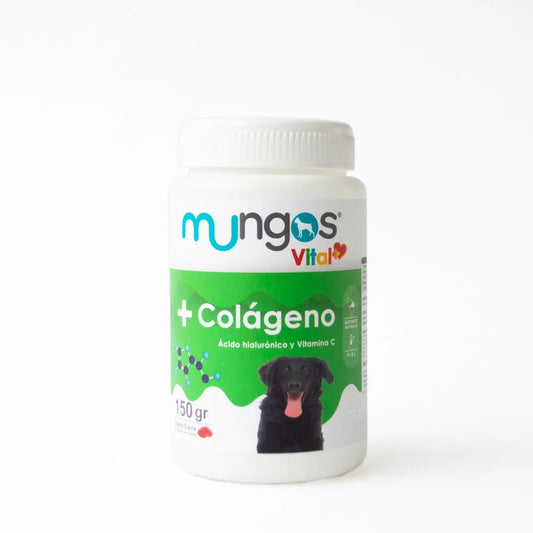 Colágeno y ácido hialurónico para perros – Mungos vital Colágeno 150 gramos